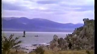 Mono Lake Bigfoot Footage slowmotion [upl. by Atinauq811]