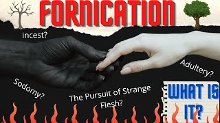 Biblical Marriage  What is Fornication [upl. by Noyerb]