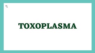 Toxoplasma gondii  Toxoplasmosis  Life Cycle Diagnosis Treatment amp Prevention  MEDZUKHRUF [upl. by Ardnauqal169]