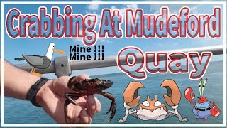 Crabbing At Mudeford Quay [upl. by Boggs]