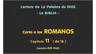 CARTA a los ROMANOS Cap 11  LA BIBLIA  ROMANOS 11 [upl. by Ahseinaj113]