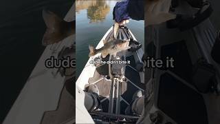 Foul hooking a fish makes it feel 5x bigger fishing kayakfishing bassfishing [upl. by Mitzie]