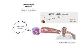 Farmacologia Farmacodinâmica tipos de receptores [upl. by Ayotnom]