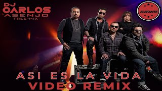 ELEFANTE  ASI ES LA VIDA VIDEO REMIX [upl. by Amoihc410]