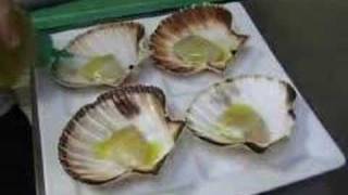 RECETTE Coquilles Saint Jacque par Gilles Epié sur CuisineO [upl. by Angela]