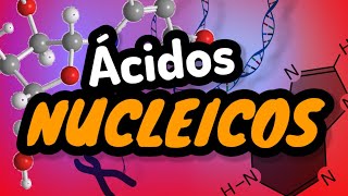 ÁCIDOS NUCLEICOS ⚡biomoléculas orgánicas en 2 minutos [upl. by Lissy]