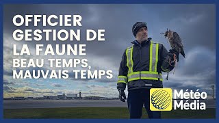 La gestion de la faune dans les aéroports  Beau Temps ⚡ Mauvais Temps [upl. by Ogu]