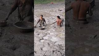 Amazing village woman catching huge catfish by hand in deep Mudd fishing catfish fish shorts [upl. by Pontone87]