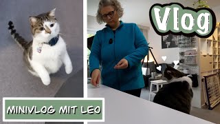 Die Nähdels sind schon zeitintensiv😂 Vlog 4123 [upl. by Tnomal]