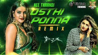 DJX Nee Thandi Osthi Ponna Mix  TIKTOK Trending 2013 [upl. by Terrene640]