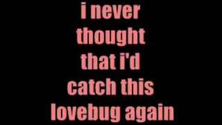 Jonas Brothers  Lovebug Full Lyrics ON SCREEN [upl. by Rind540]