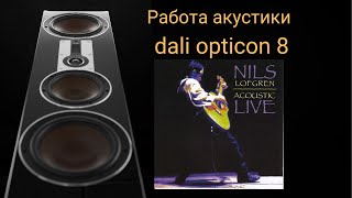 Работа акустики dali opticon 8 музыка Keith Dont Go от Nils Lofgren [upl. by Sperry]