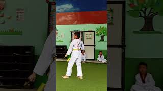 Poomsae3Eris Taekwondo DojangSmita Rai [upl. by Lledal]