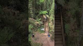 Cachoeira parque natural de Lages SC [upl. by Feldt]