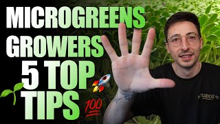 Top 5 Tips For Beginner Microgreen Growers 2024 [upl. by Schroer629]