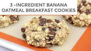 3INGREDIENT BANANA OATMEAL BREAKFAST COOKIES [upl. by Chaing]