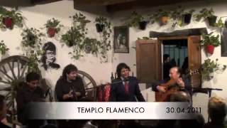 Templo Flamenco Antonio Reyes Con Paco Cepero Bulerias [upl. by Otina]