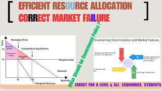 Government Policies to Achieve Efficient Resource Allocation and Correct Market Failure [upl. by Noissap]