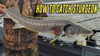 How To Fish Sturgeon In Depth Tutorial For SUCCESS FISH ON [upl. by Humfried437]