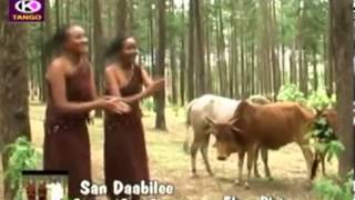 Fayyisaa Furii San Daabilee Oromo Music [upl. by Retsbew]