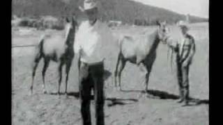 Walter Merrick explaining the difference between Thoroughbred and American Quarter Horses [upl. by Nerrawed545]