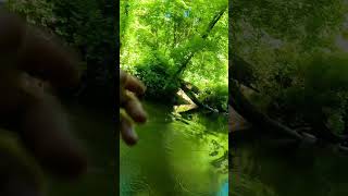 INSANE BOBBER DOWN Summer Steelhead [upl. by Lucas512]