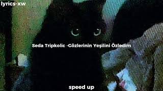 Seda Tripkolic Gözlerinin Yeşilini Özledim speed up [upl. by Merv97]