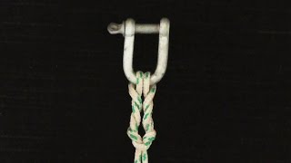 How To Tie A Cats Paw Knot [upl. by Deny365]