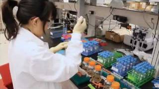 Developing Biologic Drugs [upl. by Sheree723]