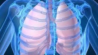 How healthy lungs work and function [upl. by Colley574]