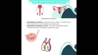 TRASTORNOS DE DIFERENCIACIÓN SEXUAL [upl. by Ateekan]