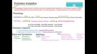 Understanding Diabetes Insipidus [upl. by Barcroft80]