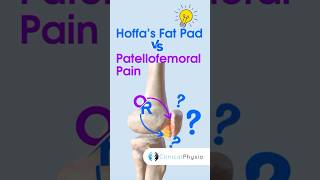 Hoffa’s Fat Pad vs Patellofemoral Pain physicaltherapy physiotheraphy kneepain [upl. by Nolahc]