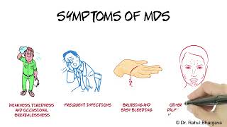 MDS Myelodysplastic Syndromes [upl. by Anahsat]