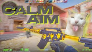 Calm Aim in CS2 [upl. by Nylyahs]