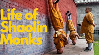 An exemplary Shaolin warrior monk少林功夫人物yanhao shaolinkungfuyanhao [upl. by Born256]