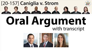 Oral Argument Caniglia v Strom [upl. by Concettina965]