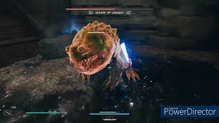 Star Wars Jedi Survivor  Spawn of Oggdo Boss Fight [upl. by Inaja]