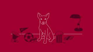 Rio Tinto  Red Dog [upl. by Onnem]