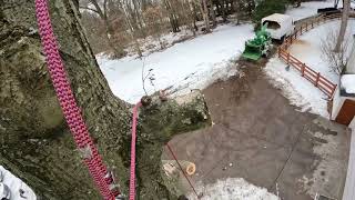 Arborist Advanced Rigging tips and tricks [upl. by Dearden]