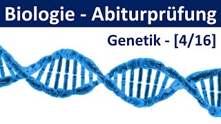 Biologie Abiturprüfung 2024  Aufgaben Genetik 12  Abitur Biologie 416 [upl. by Anilrahc349]