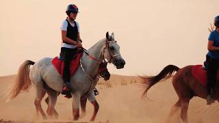 DUBAI HORSE RIDING  AMAZING VIDEO by Supek Team Endurance [upl. by Pedersen77]