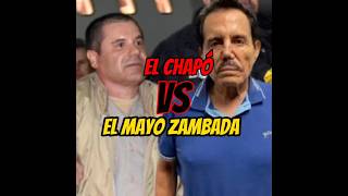 Chapó vs mayo narcos narcosmexico [upl. by Syned152]