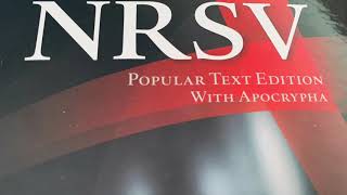 1 Esdras NRSV Bible Chapter 6 Apocryphal Audiobook [upl. by Yraht]