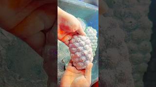 Soft🍍Shape🍍Glitter Cover Crumble👏🏻More Different Shape Crumbled Please Subscribe🔔Trendingshorts [upl. by Yatnuahc]