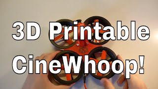 Rimzler Dison quick start guide Free 3d printable CineWhoop [upl. by Savdeep720]