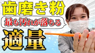 【歯磨き粉 おすすめ ホワイトニング】歯医者が本気でオススメする歯磨き粉の適量！ [upl. by Ahseek]