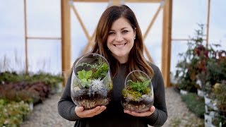 How to Make A Terrarium Full Version  Garden Answer [upl. by Hameerak]