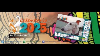 Galgos y Podencos Cantabria lanzamiento Calendario 2025 [upl. by Clapp]