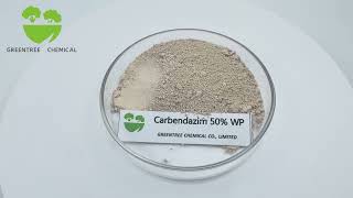 Carbendazim 50 WP CAS NO 10605217 Agrochemical Products Fungicide [upl. by Ahsemak]